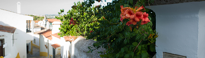 Copyright © Wolfgang Bleier, Austria Obidos
